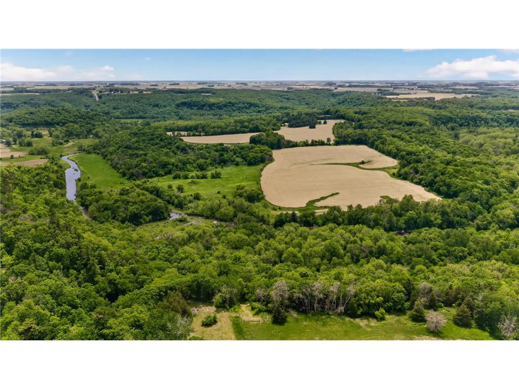 69xx County Road 19 Pleasant Grove Twp MN 55904 - Root River - North Branch 7084399 image5