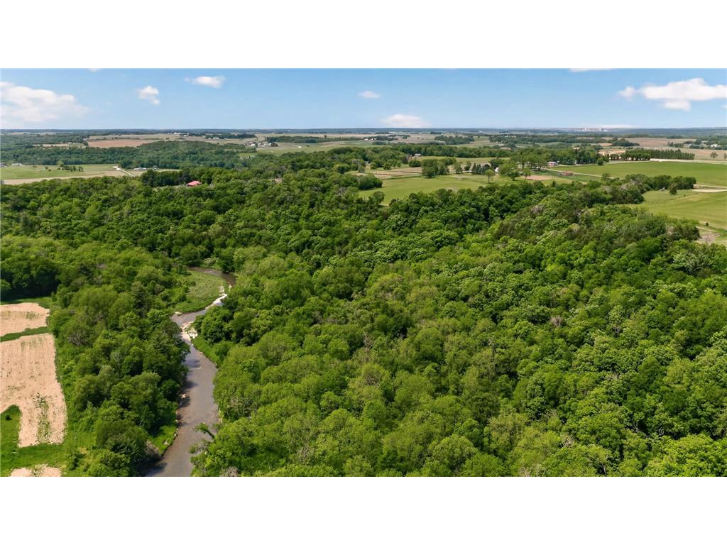 69xx County Road 19 Pleasant Grove Twp MN 55904 - Root River - North Branch 7084399 image8