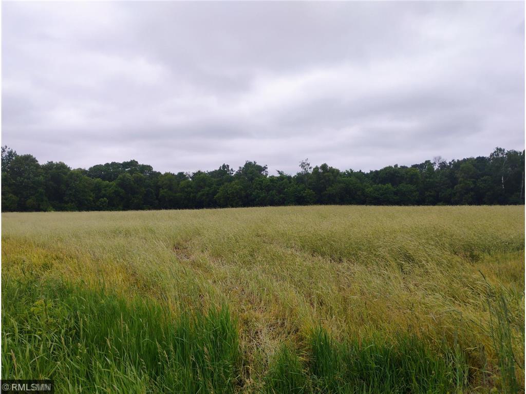 6XXX County Road 6 NW Wyanett Twp MN 55371 6781939 image1
