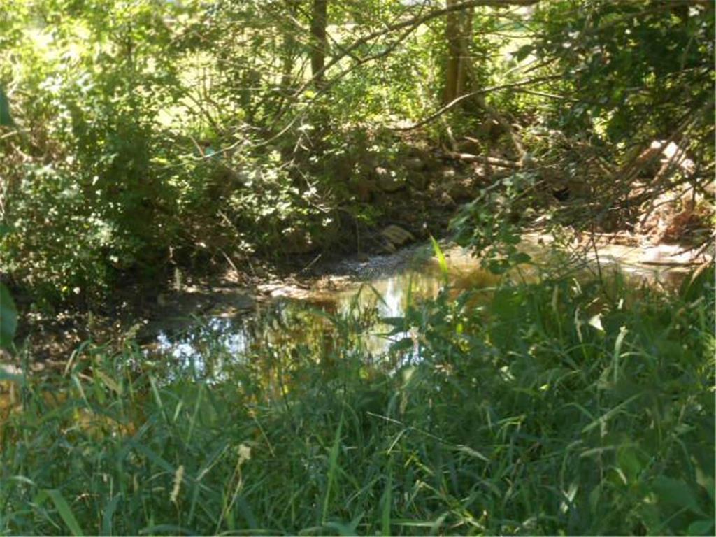 6th Crn 17th St/6th Avenue Windom MN 56101 6619929 image4