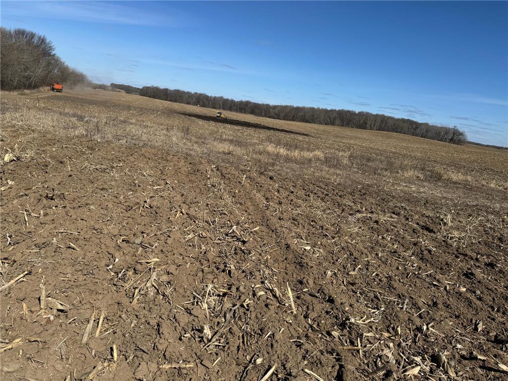 6xxx Rose Street Owatonna MN 55060 6341283 image1