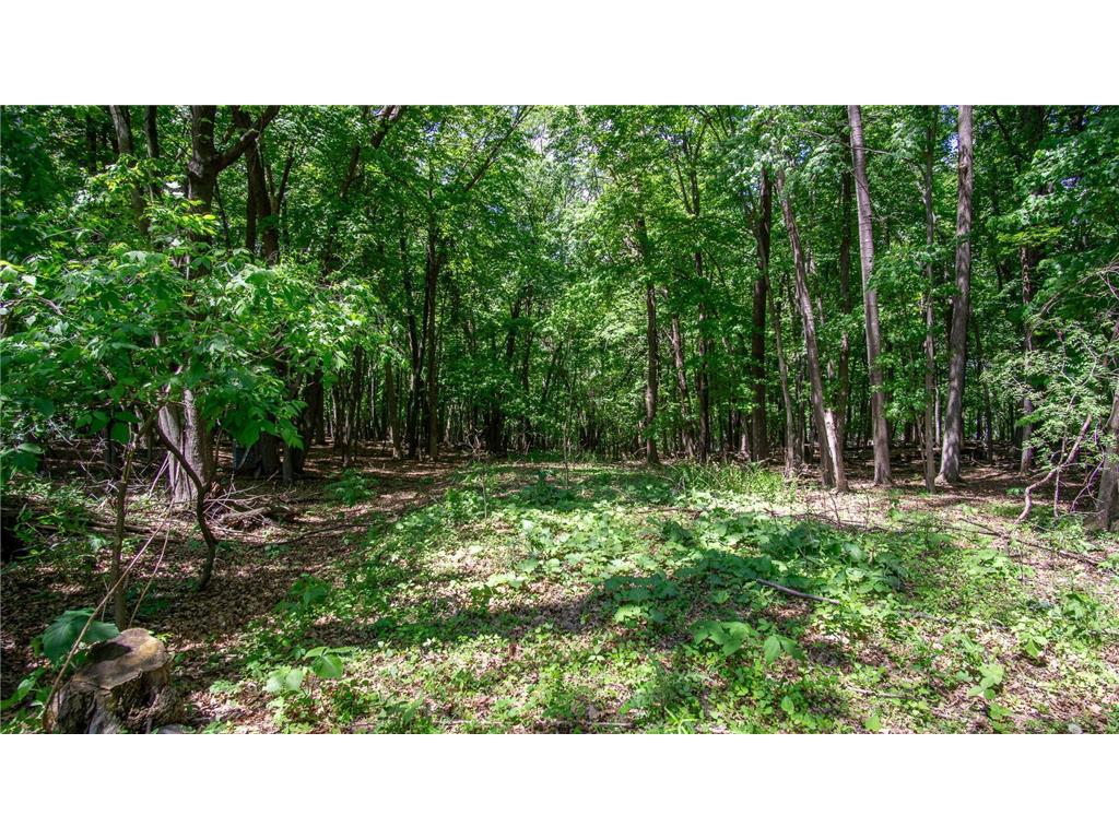 7.53 Acres 483rd Ave Menomonie WI 54751 6544864 image1