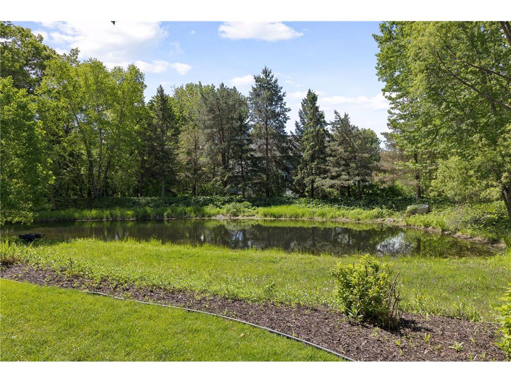 700 Hidden Creek Trail Mendota Heights MN 55118 7017936 image46