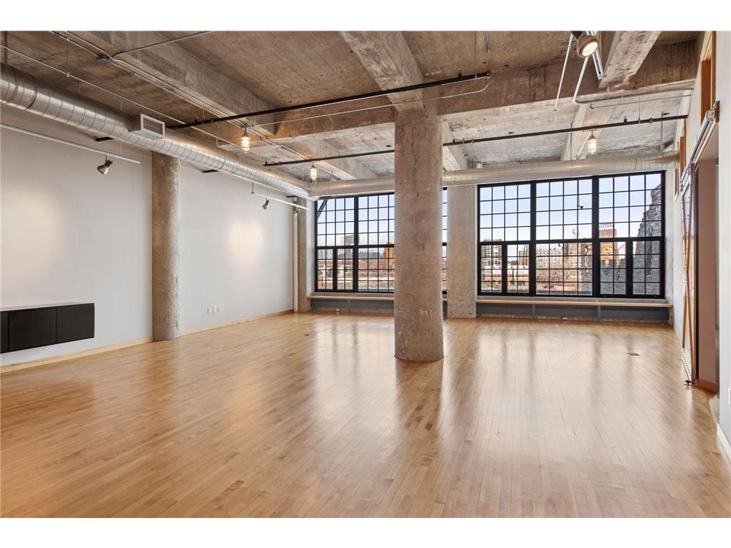 700 S 2nd Street #W20 Minneapolis MN 55401 - Mississippi 6660039 image1