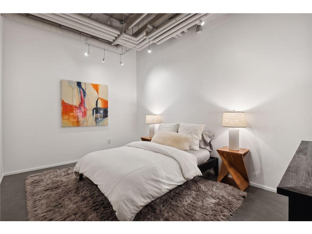 700 S 2nd Street #W31 Minneapolis MN 55401 - Mississippi 6715326 image114