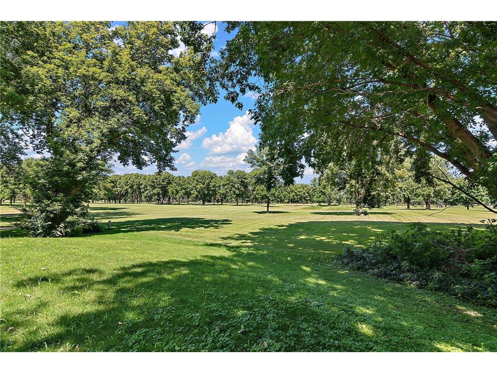 700 W Pleasure Drive Litchfield MN 55355 - Ripley Lake 6777351 image27