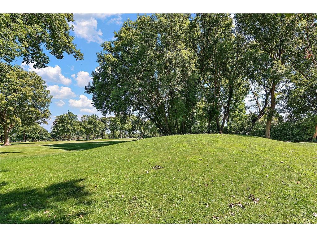 700 W Pleasure Drive Litchfield MN 55355 - Ripley Lake 6777351 image28