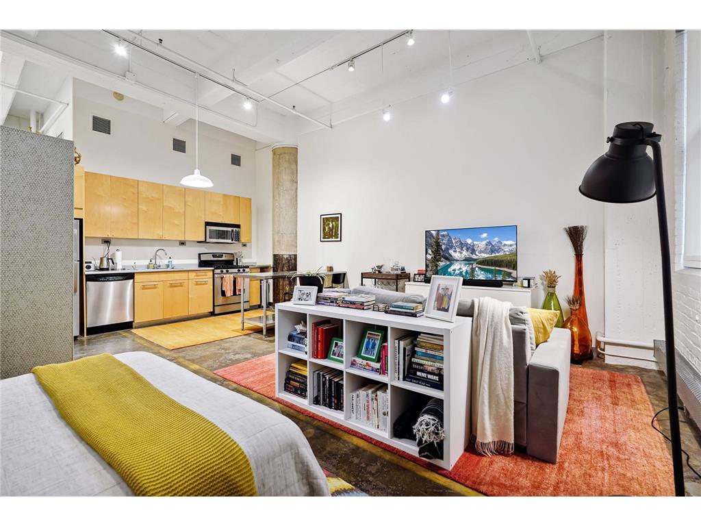 700 Washington Avenue N #207 Minneapolis MN 55401 7040392 image11