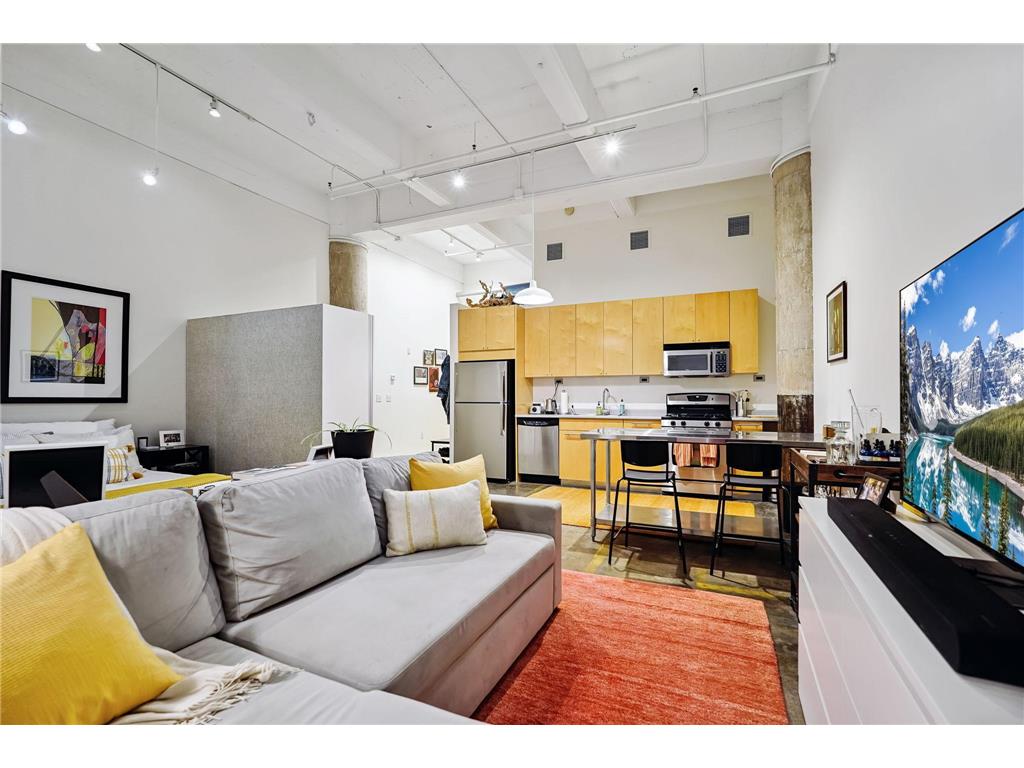 700 Washington Avenue N #207 Minneapolis MN 55401 7040392 image5