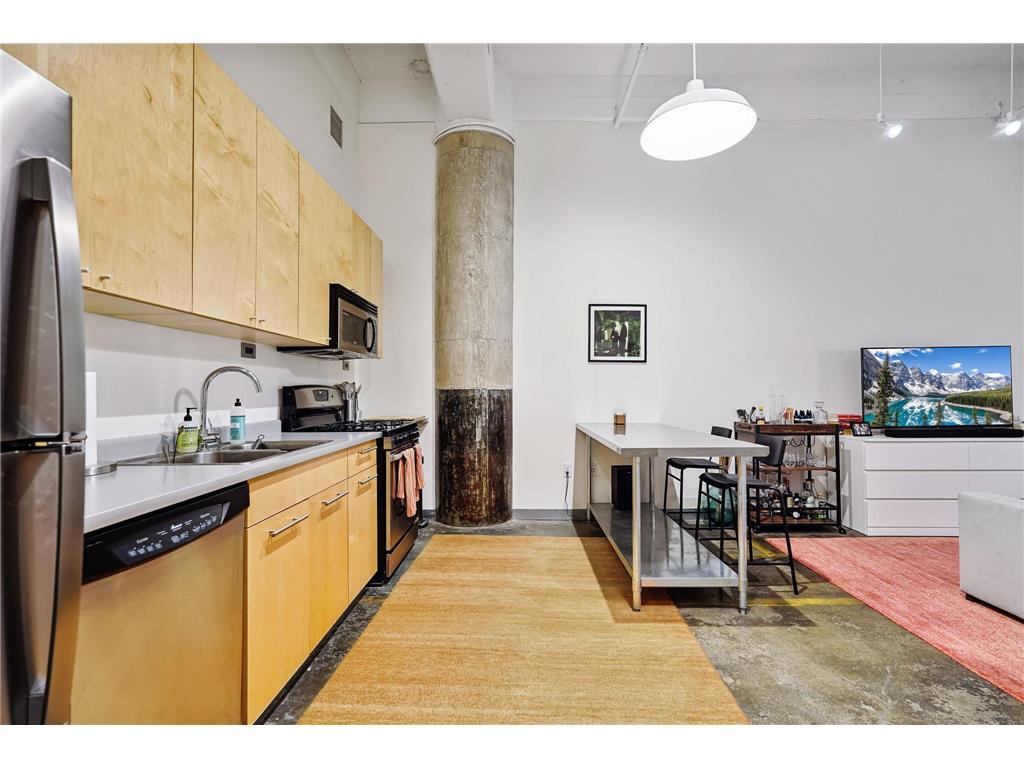 700 Washington Avenue N #207 Minneapolis MN 55401 7040392 image8