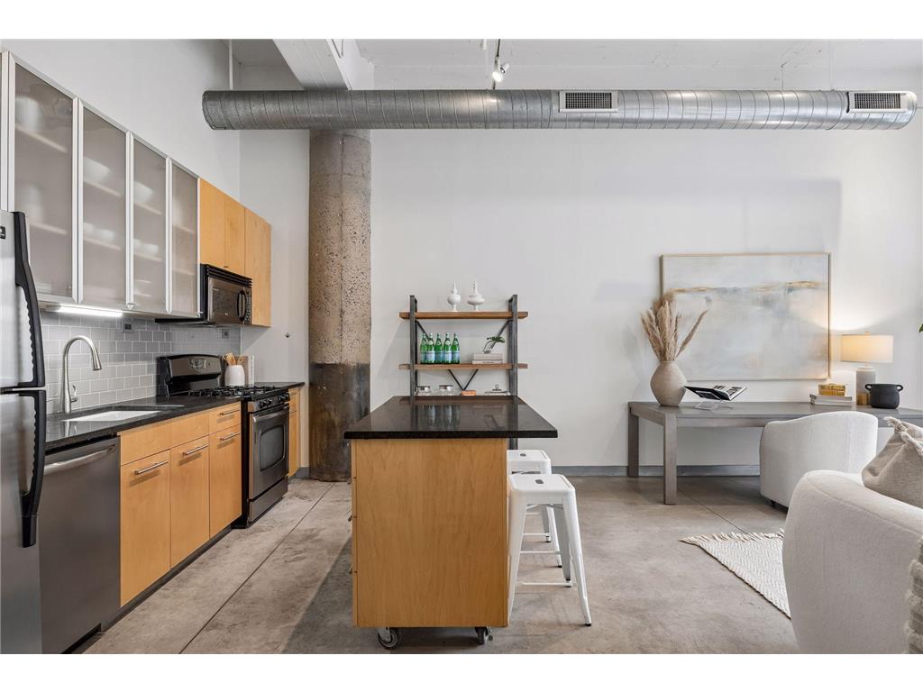700 Washington Avenue N #419 Minneapolis MN 55401 7067364 image10