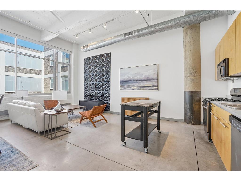 700 Washington Avenue N #523 Minneapolis MN 55401 7060259 image11