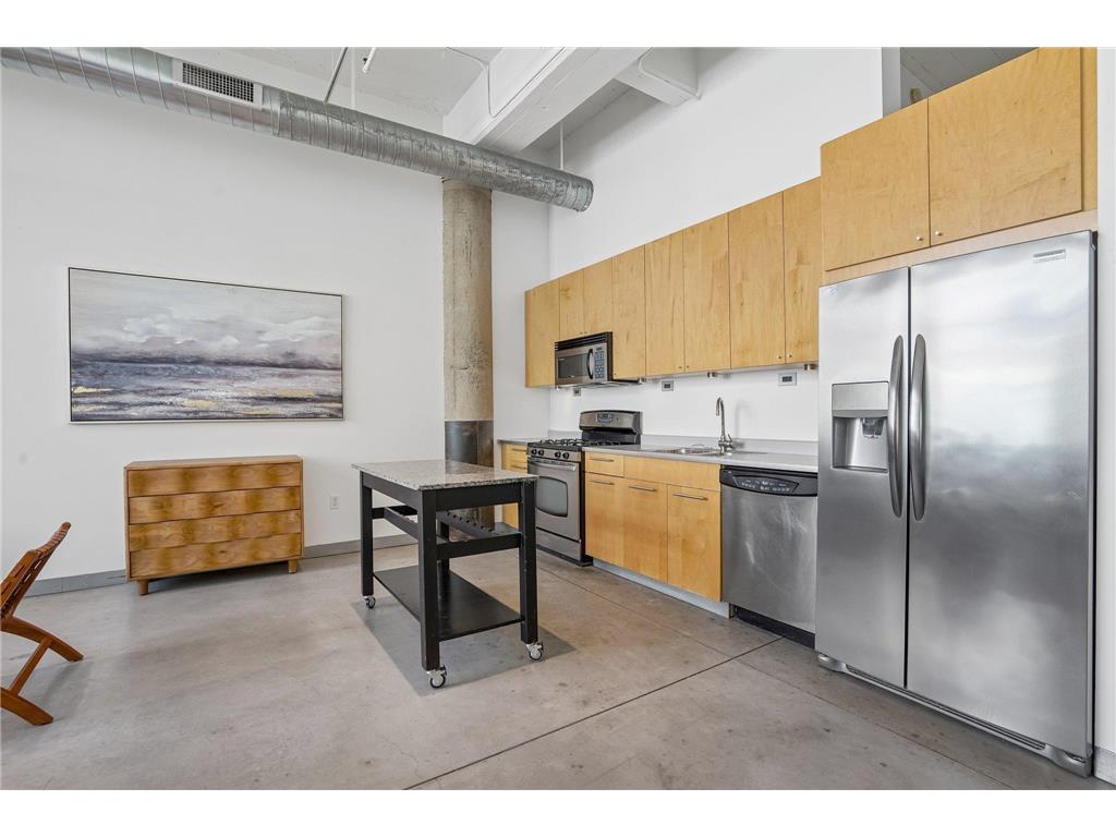 700 Washington Avenue N #523 Minneapolis MN 55401 7060259 image12