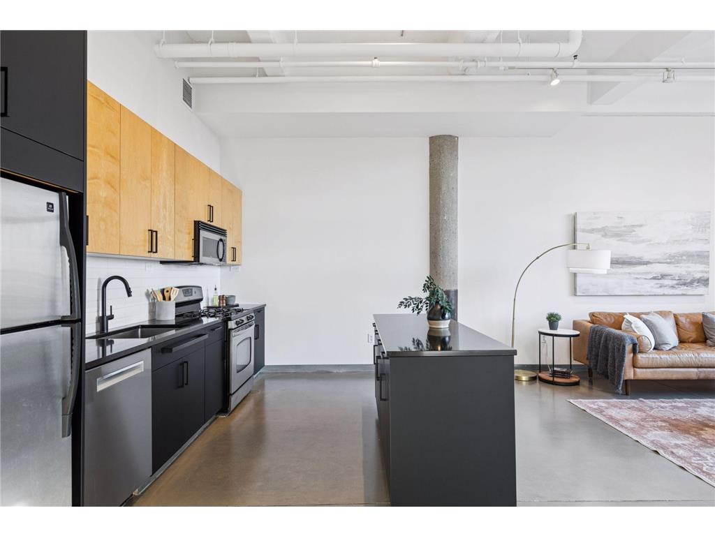 700 Washington Avenue N #627 Minneapolis MN 55401 6785001 image17