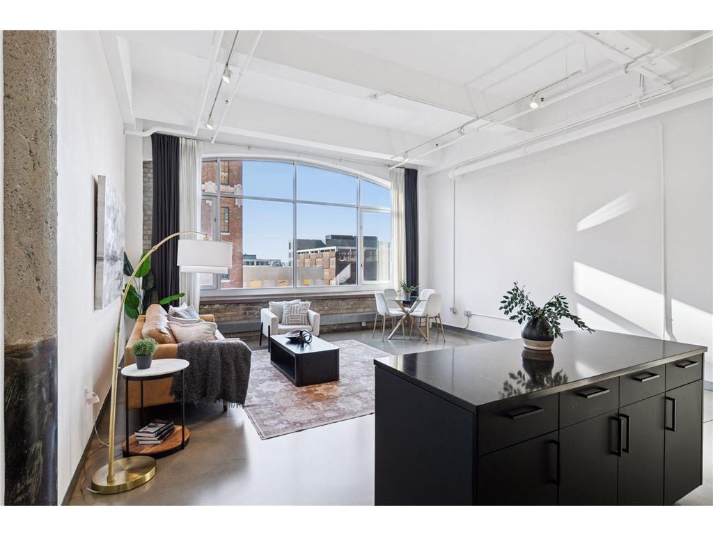 700 Washington Avenue N #627 Minneapolis MN 55401 6785001 image4