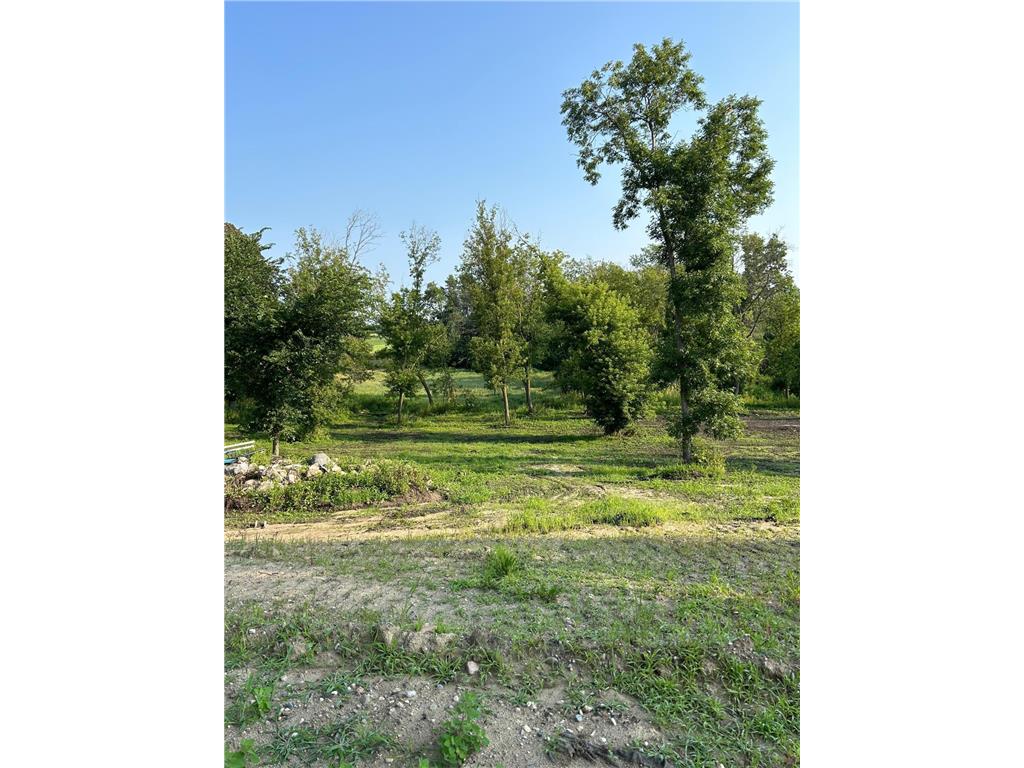7005 County Road 82 SE Alexandria MN 56308 7017511 image11