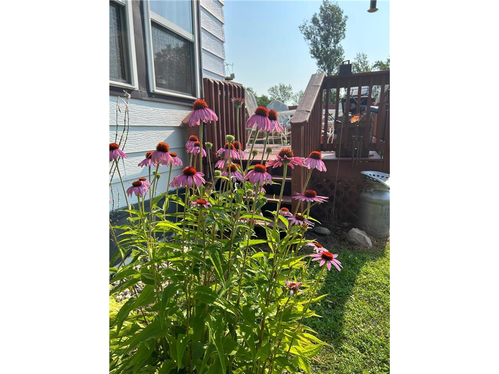7005 County Road 82 SE Alexandria MN 56308 7017511 image2