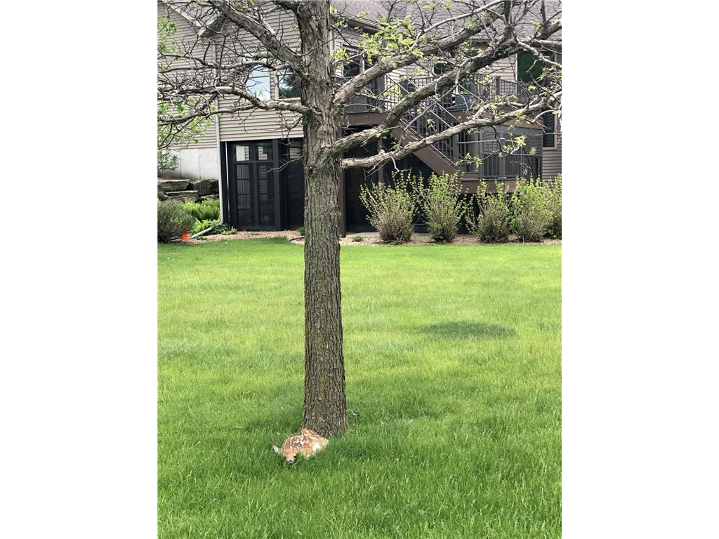 7005 Halifax Lane NW Cascade Twp MN 55901 7039842 image62