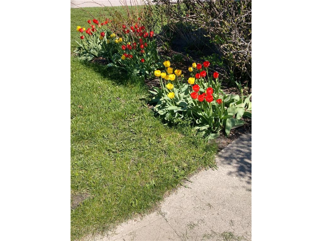 701 Douglas Avenue Henning MN 56551 7054990 image36