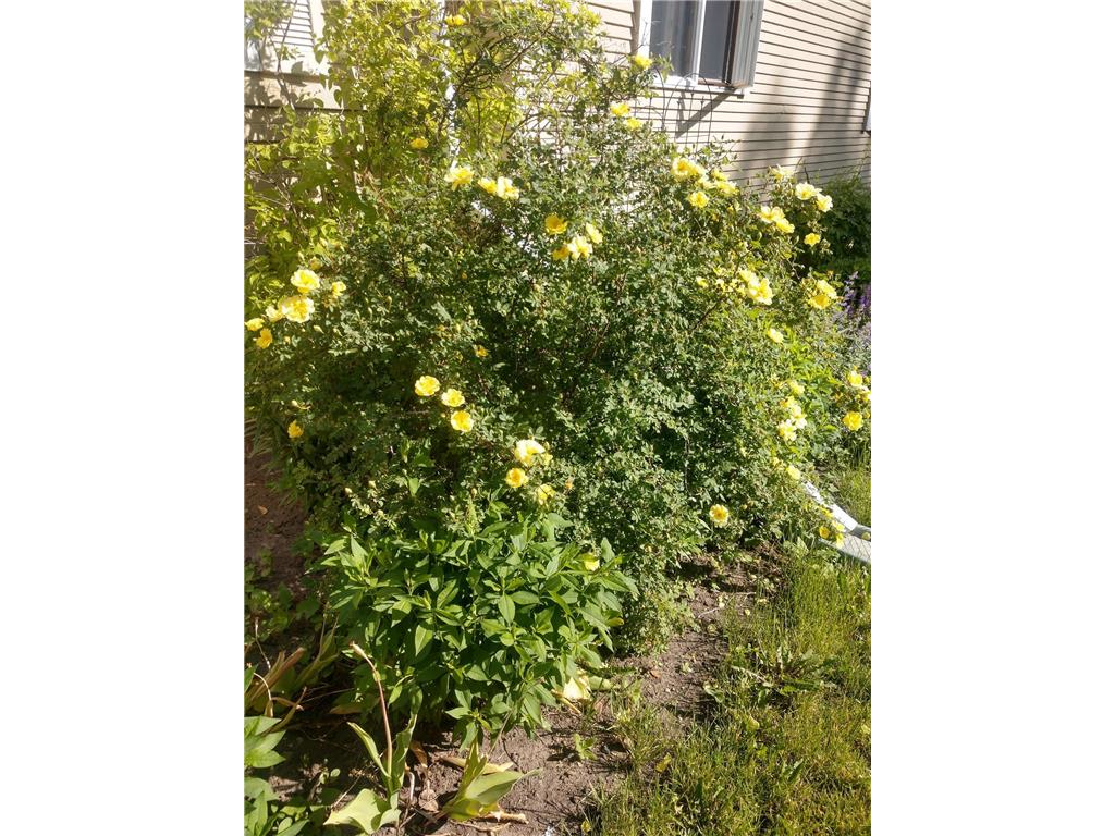 701 Douglas Avenue Henning MN 56551 7054990 image37