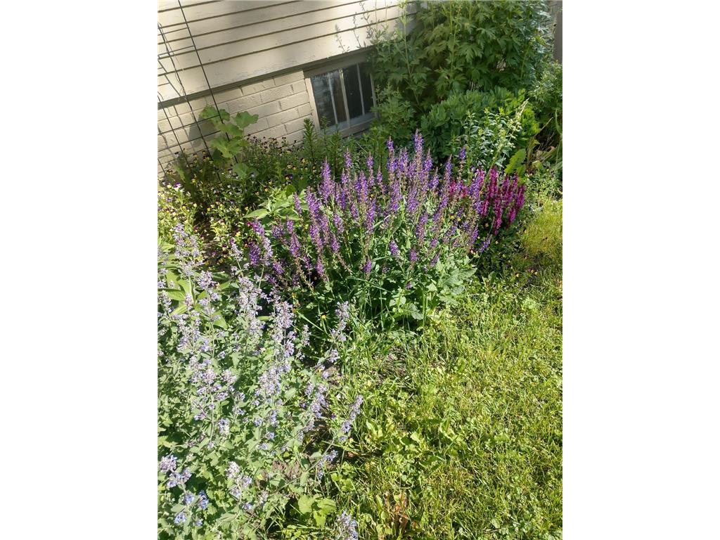 701 Douglas Avenue Henning MN 56551 7054990 image38