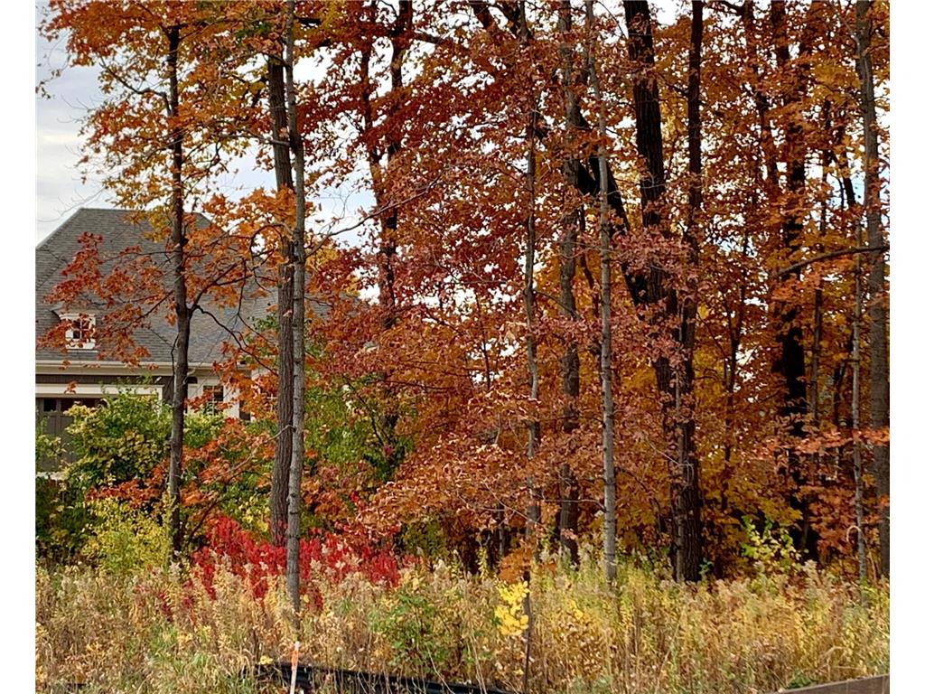 701 Shawnee Woods Road Medina MN 55340 6640637 image1