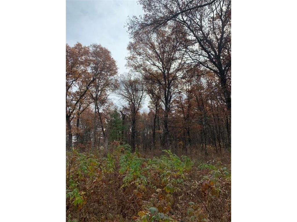 7017 Oakwood Parkway Webster WI 54893 6351193 image1