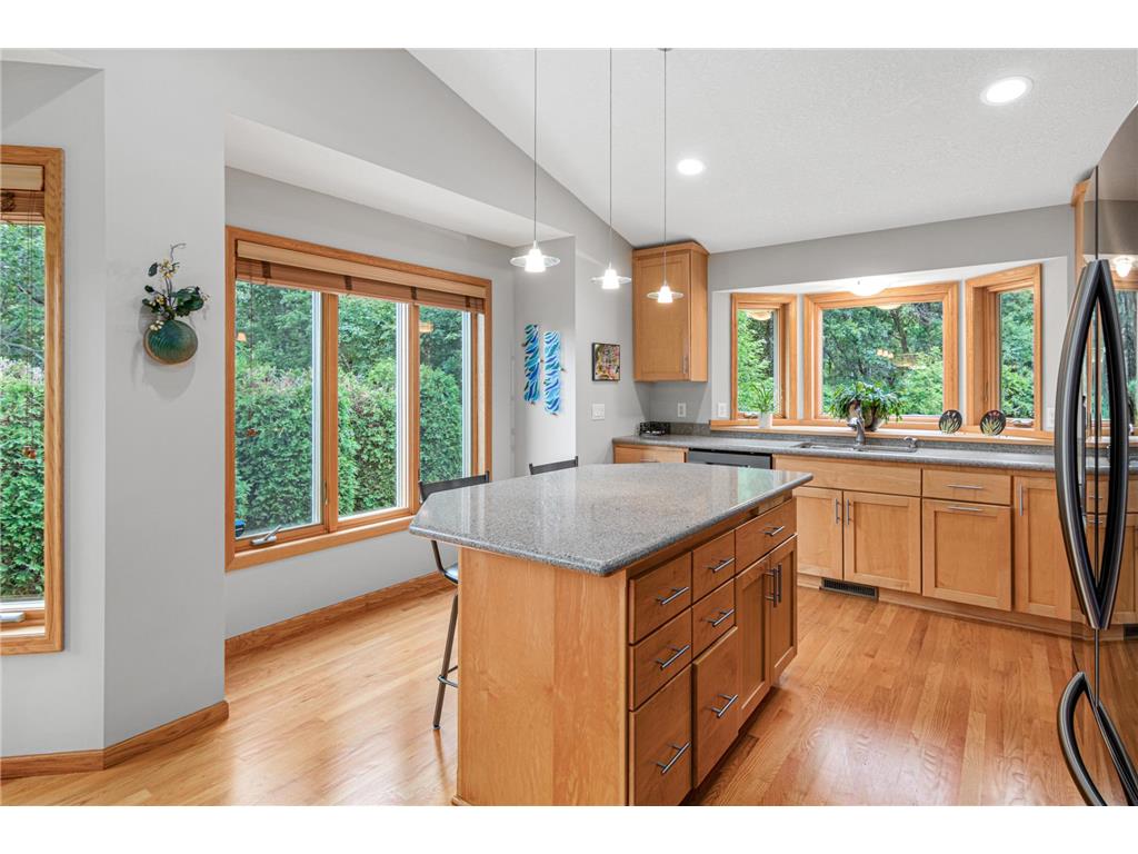 702 Crescent Curve White Bear Twp MN 55127 7102639 image8
