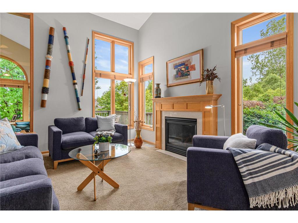 702 Crescent Curve White Bear Twp MN 55127 7102639 image9