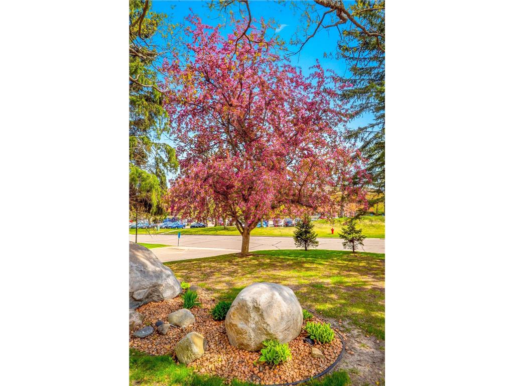 702 E Nicollet Boulevard Burnsville MN 55337 7051002 image34
