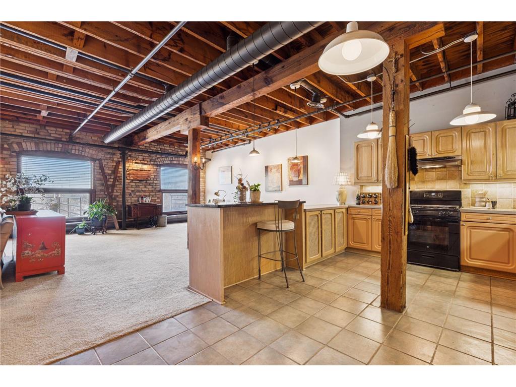702 N 1st Street #521 Minneapolis MN 55401 6820416 image27