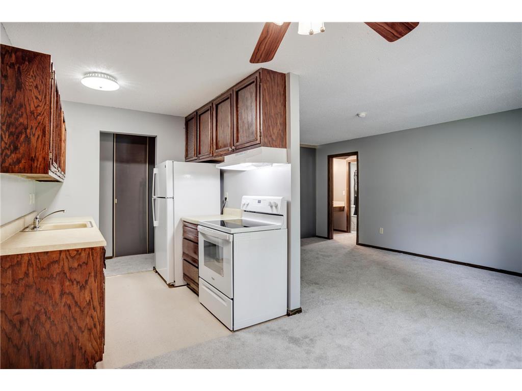 702 Old Settlers Trail #3 Hopkins MN 55343 6814662 image6