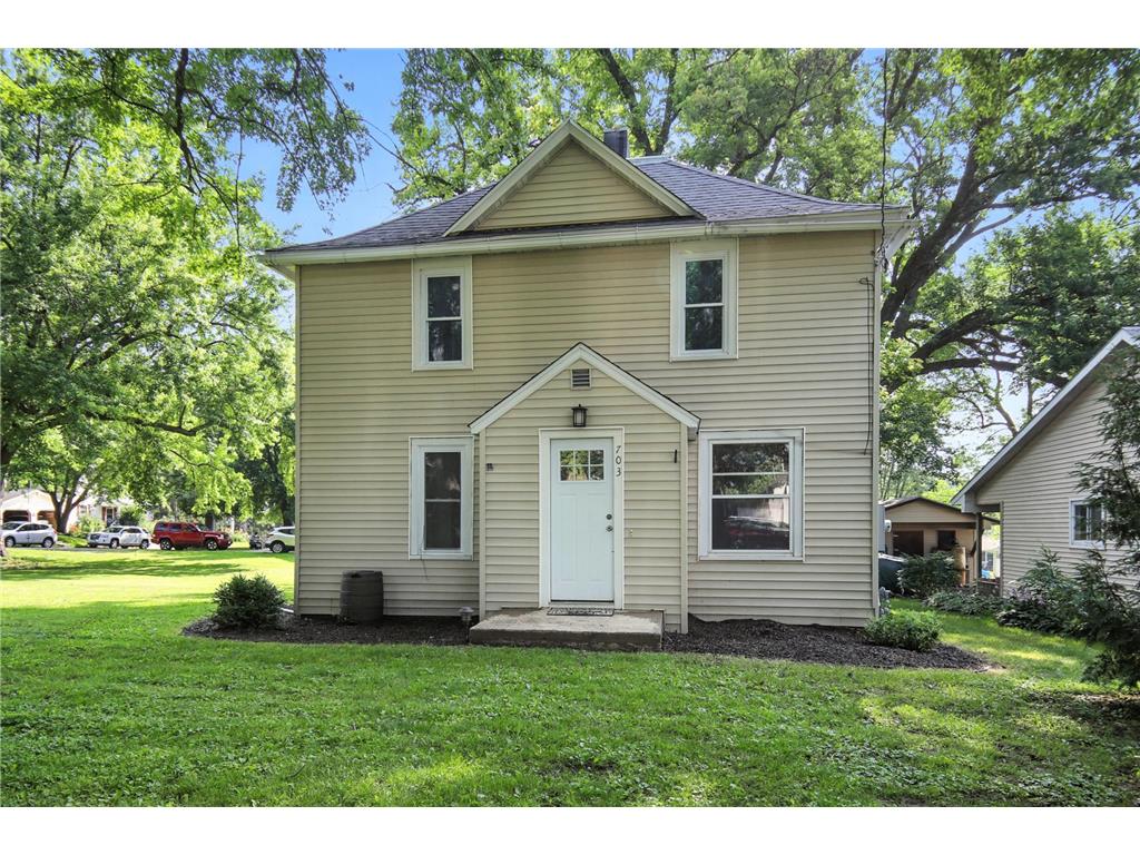 703 5th Street S Ellendale MN 56026 6764995 image1