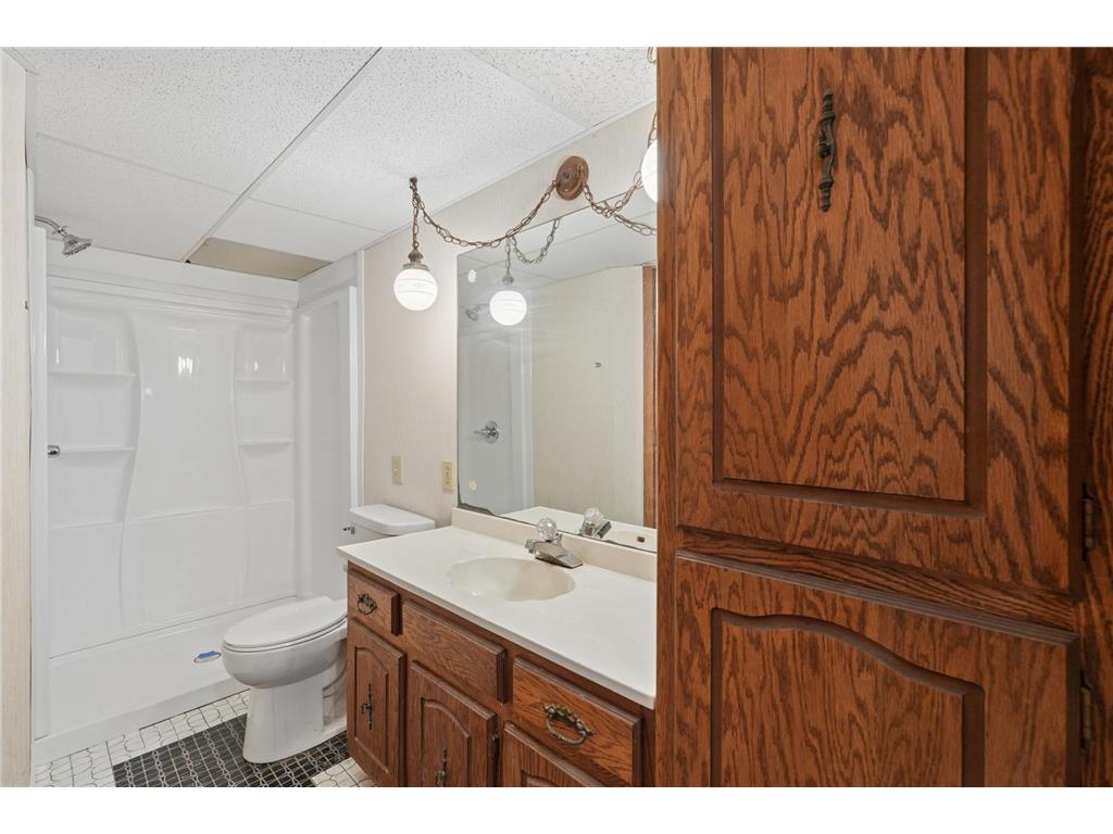 703 Cope Avenue W Roseville MN 55113 7067997 image19