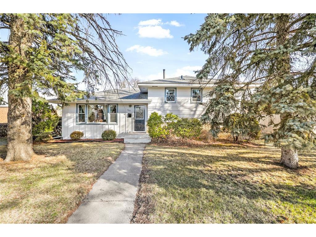 703 Mississippi Street NE Fridley MN 55432 7043551 image1