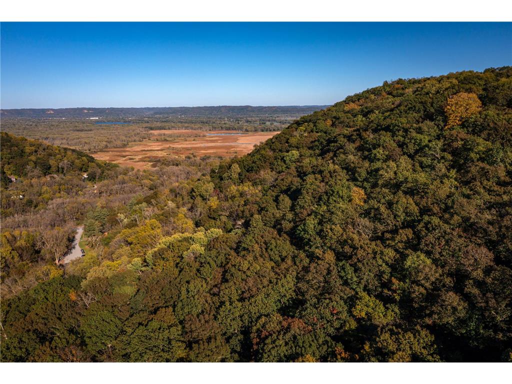 7030 Birchwood Drive Hokah Twp MN 55947 6800291 image10