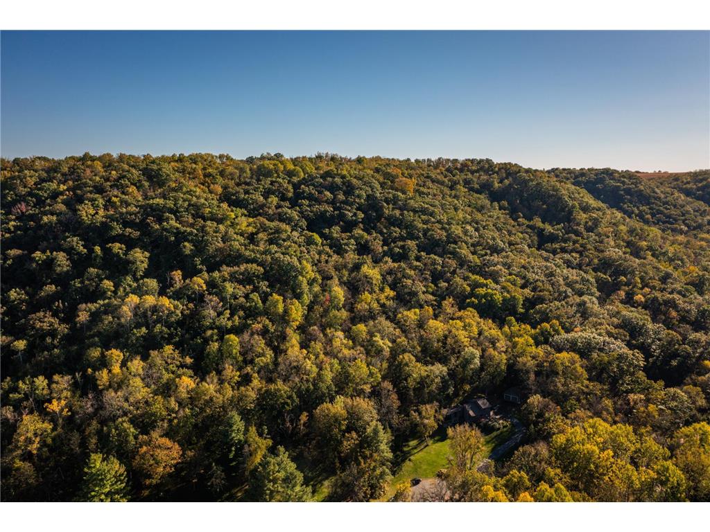 7030 Birchwood Drive Hokah Twp MN 55947 6800291 image55