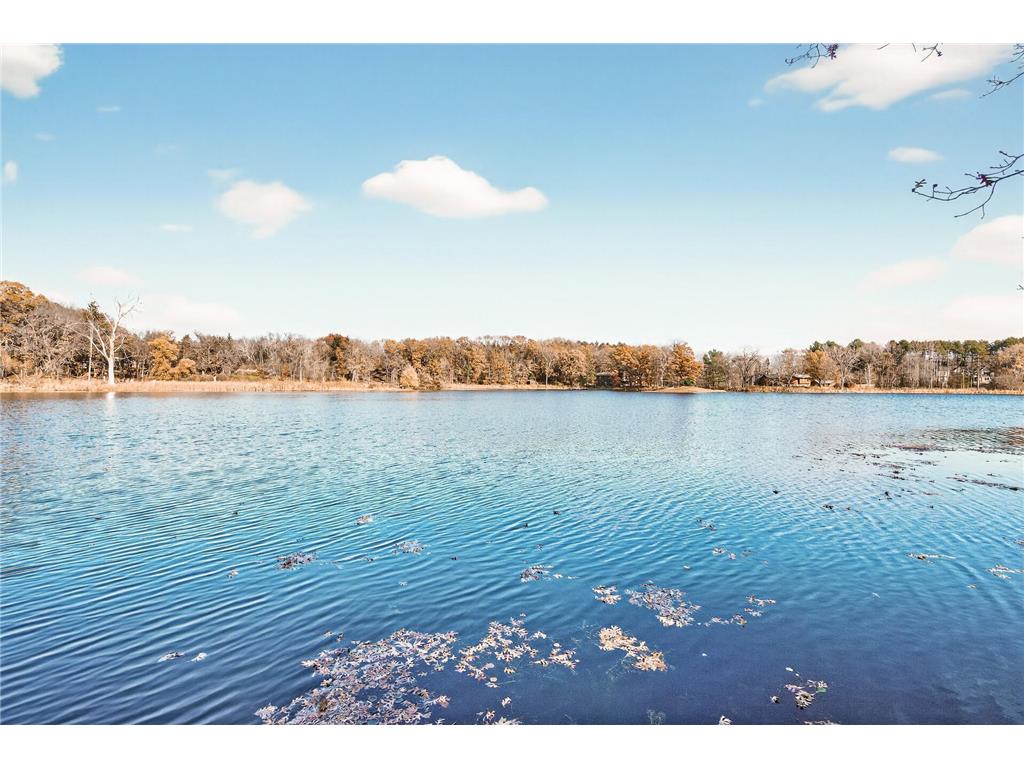 7033 Jocelyn Lane N Grant MN 55082 - Sunnybrook 6809645 image49