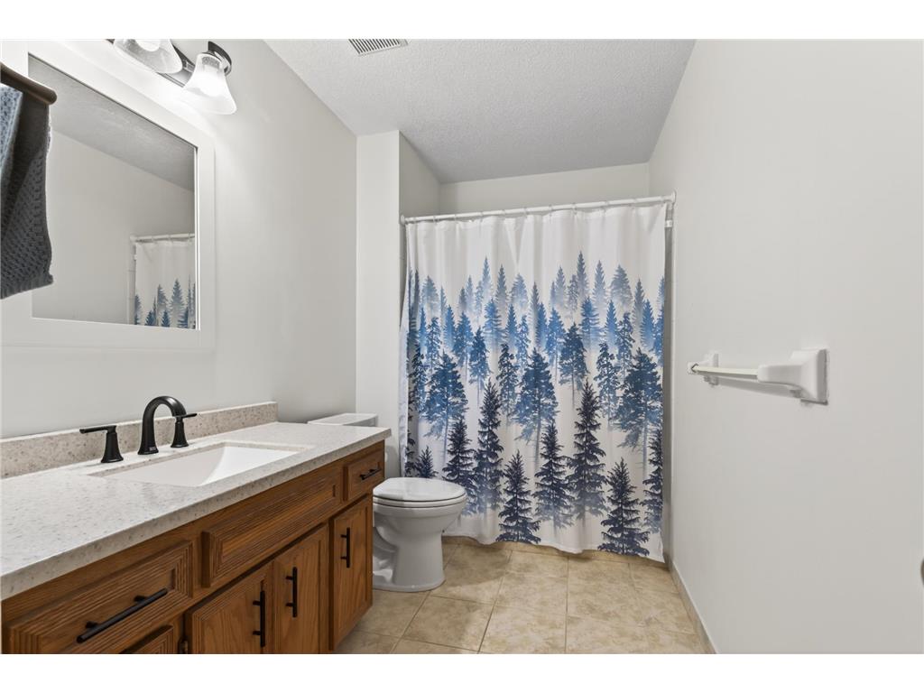 7036 Jocelyn Alcove S Cottage Grove MN 55016 7053499 image14