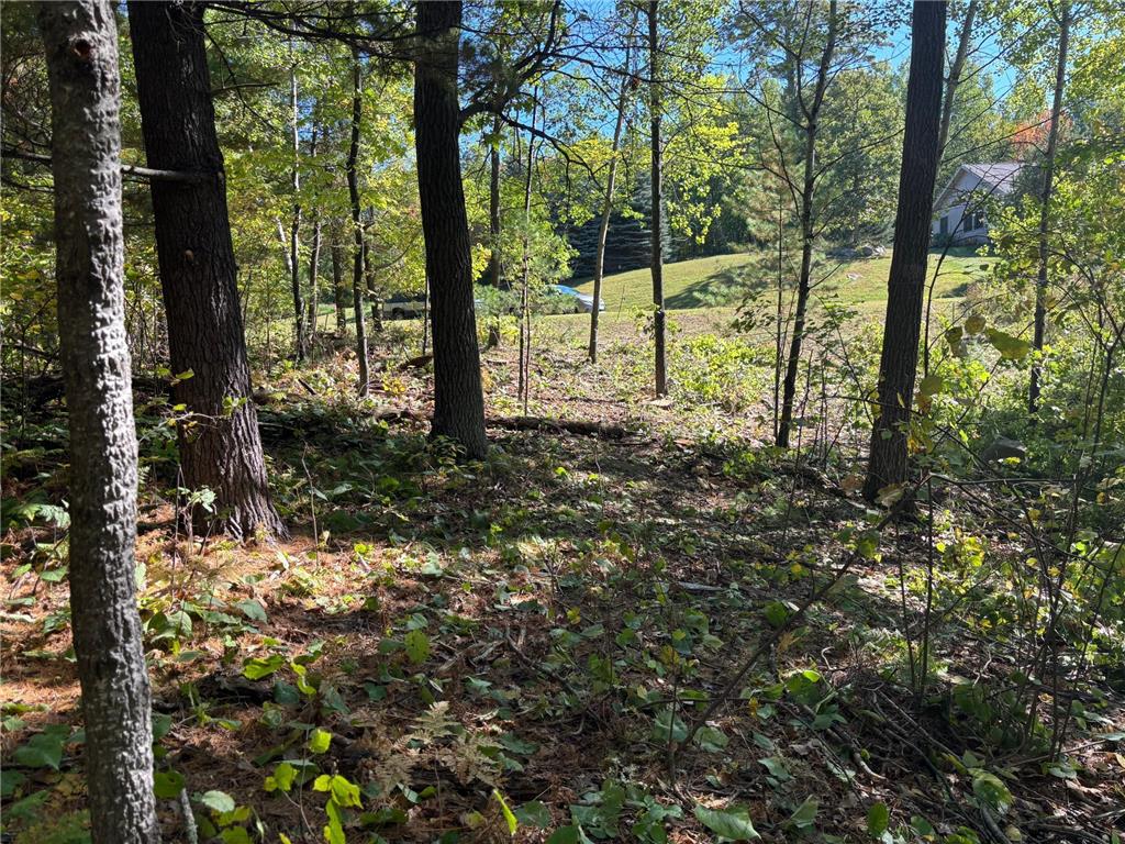 704 5th Street Walker MN 56484 6798580 image3