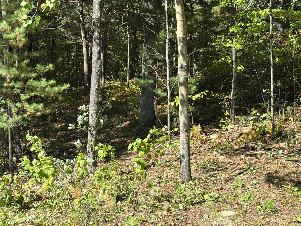 704 5th Street Walker MN 56484 6798580 image4