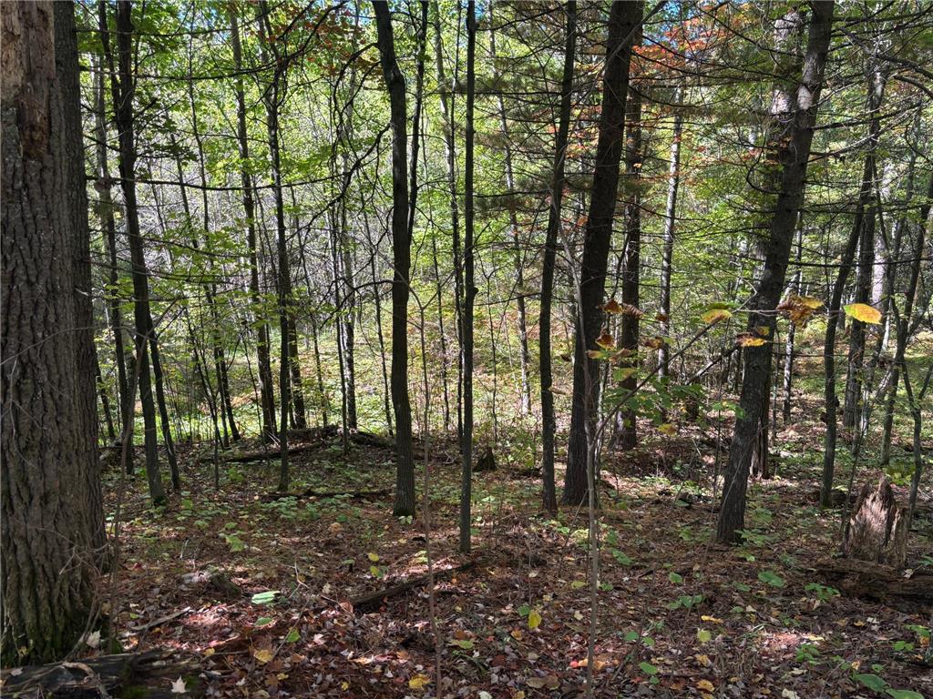 704 5th Street Walker MN 56484 6798580 image5