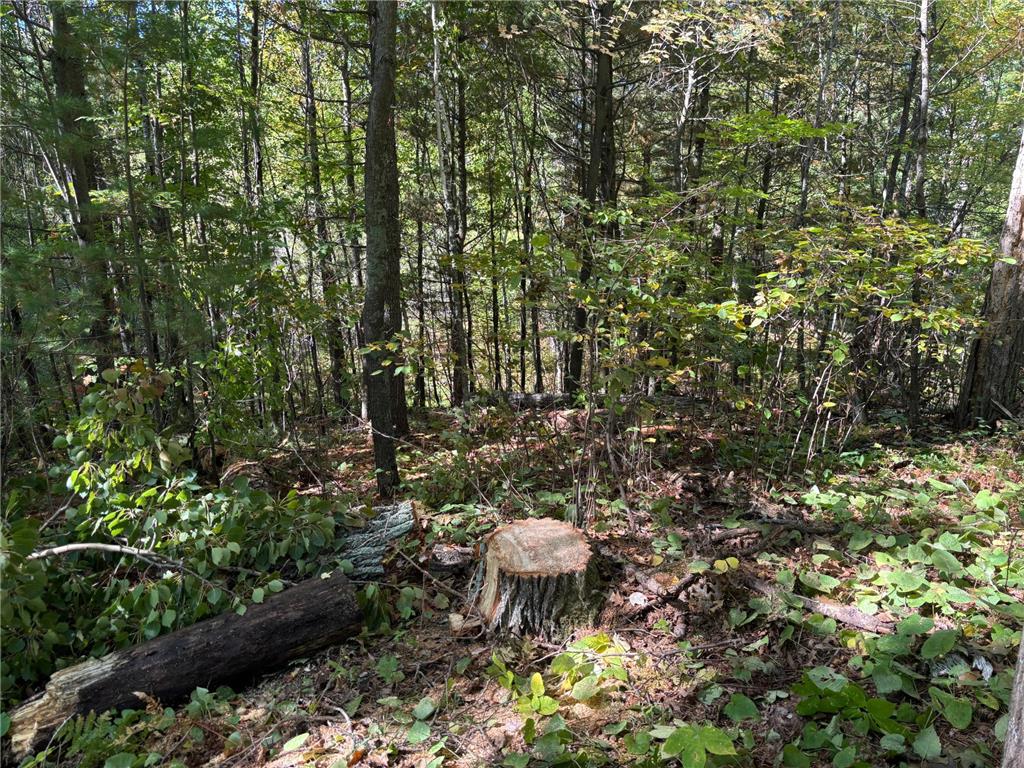 704 5th Street Walker MN 56484 6798580 image6