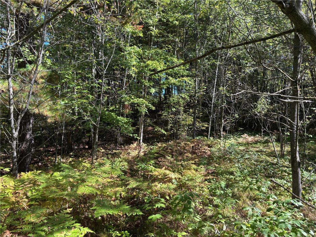 704 5th Street Walker MN 56484 6798580 image8