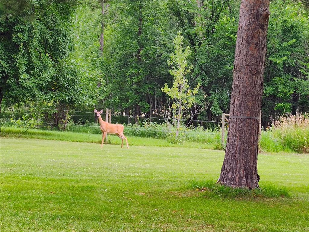 704 Martha Avenue N North Twp MN 56701 7039166 image4