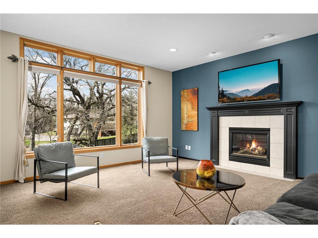 7040 Isleton Avenue S Cottage Grove MN 55016 7051668 image17