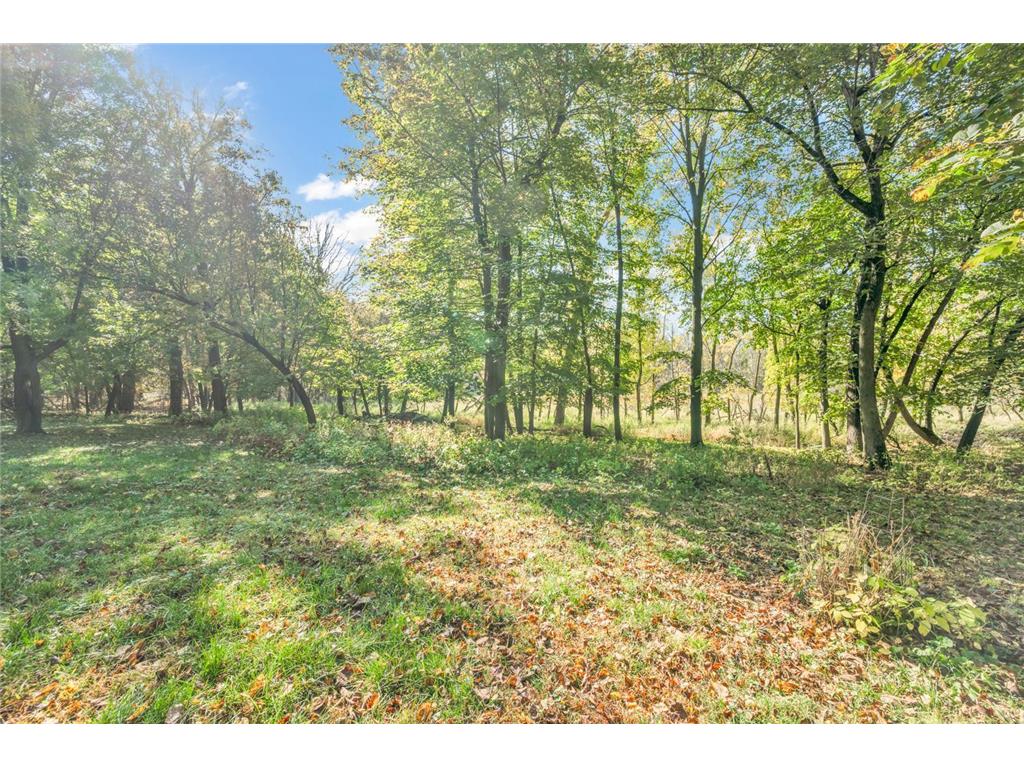 70455 476th Avenue Minneota Twp MN 56143 - Little Spirit 6806150 image43