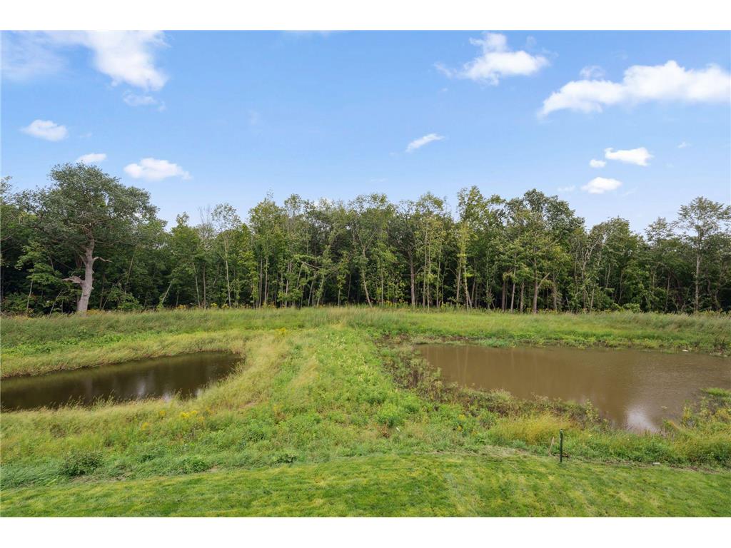 705 Ensconced Way Chaska MN 55318 7067820 image11