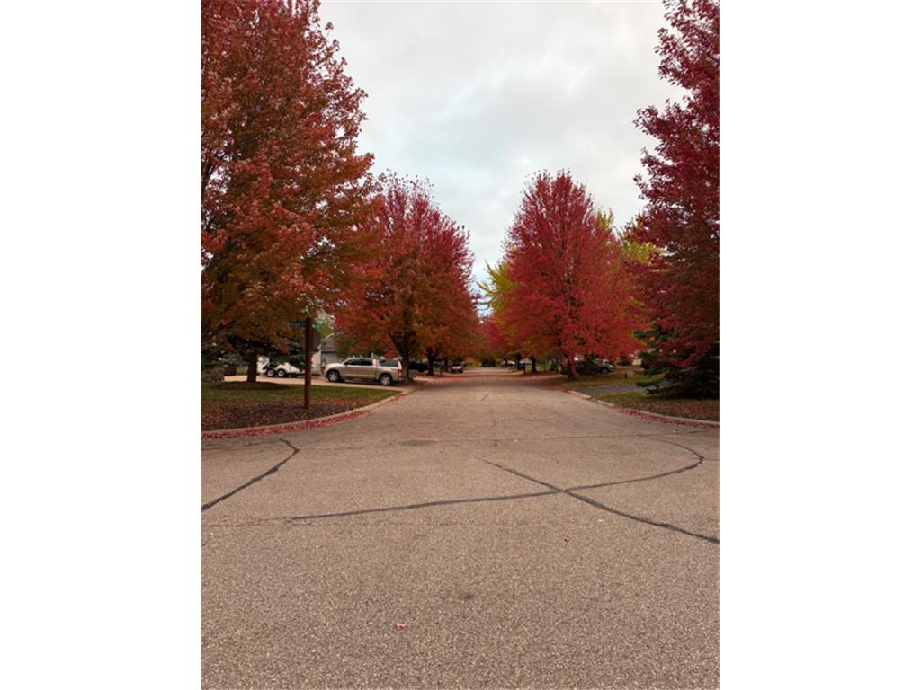 705 Leon Street Jordan MN 55352 7058848 image60