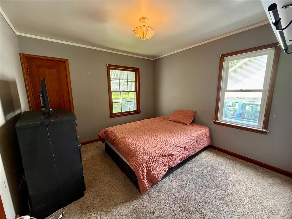 705 N Carver Street Winthrop MN 55396 6773930 image15